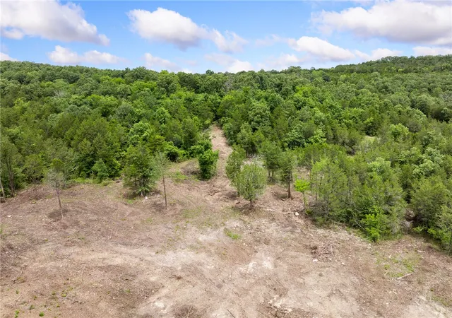 1st image of 19001 Old Lowery Rd, Omaha, AR 72662 | MLS# 1353023