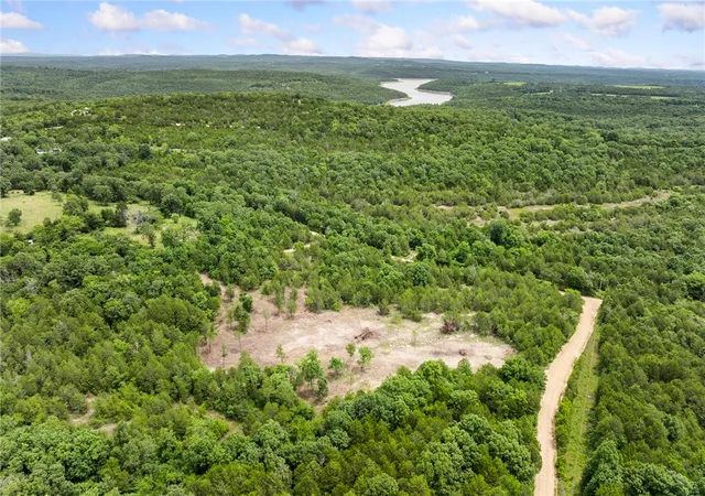5th image of 19001 Old Lowery Rd, Omaha, AR 72662 | MLS# 1353023