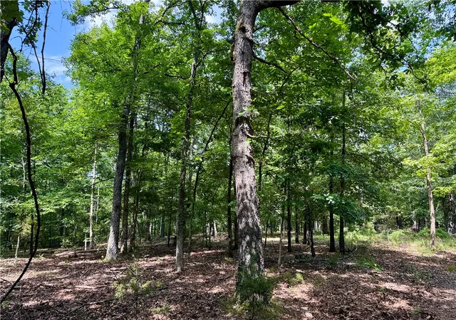 Photo 2 of Land for sale at 24550 Capps Ranches Rd, Rogers, AR 72756 | MLS# 1354348 | Listing updated on 2026-08-11