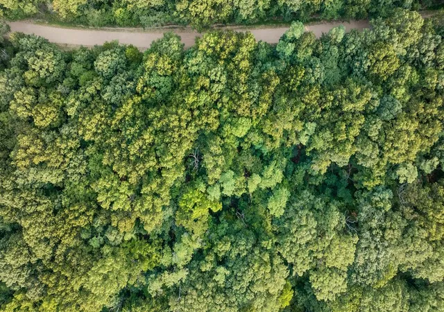 Photo 3 of Land for sale at Lot 376 Arabian Ln, Rogers, AR 72756 | MLS# 1355319 | Listing updated on 2026-09-29