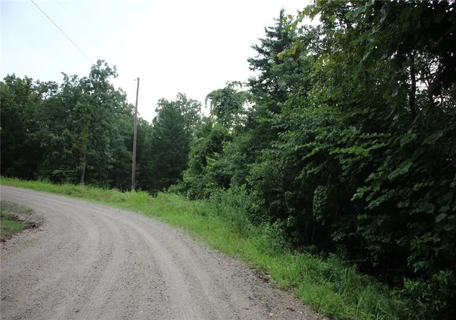 1st image of 001 02314 001 Green Forest Trl, Mountain Home, AR 72653 | MLS# 1355635