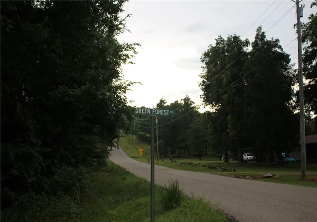 24th image of 001 02314 001 Green Forest Trl, Mountain Home, AR 72653 | MLS# 1355635