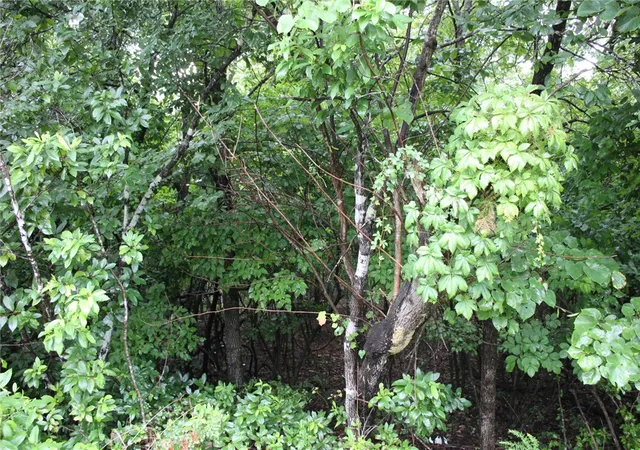 2nd image of 001 02314 001 Green Forest Trl, Mountain Home, AR 72653 | MLS# 1355635