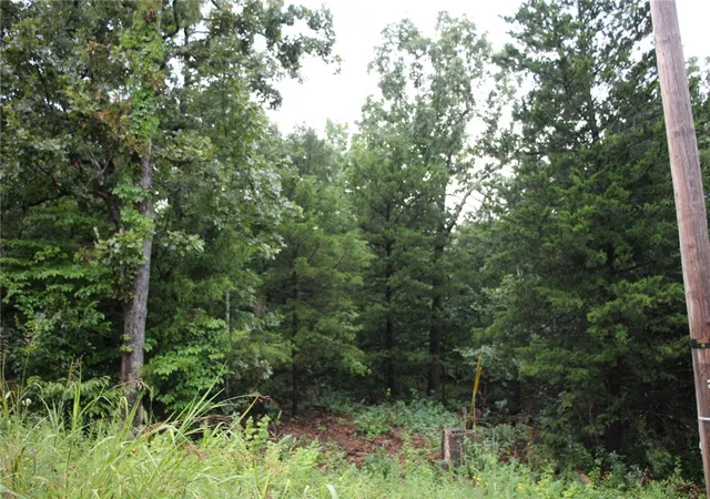 3rd image of 001-02314-001 Green Forest Trl, Mountain Home, AR 72653 | MLS# 1355635