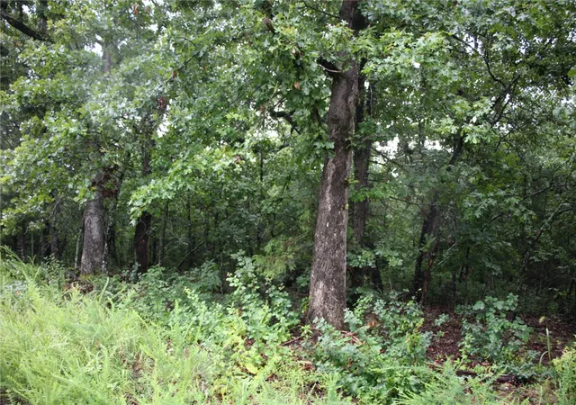 5th image of 001-02314-001 Green Forest Trl, Mountain Home, AR 72653 | MLS# 1355635