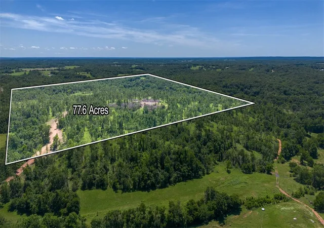 Photo 4 of Land for sale at Lot 2 Adams Rd, Goodman, MO 64843 | MLS# 1353515 | Listing updated on 2026-08-07