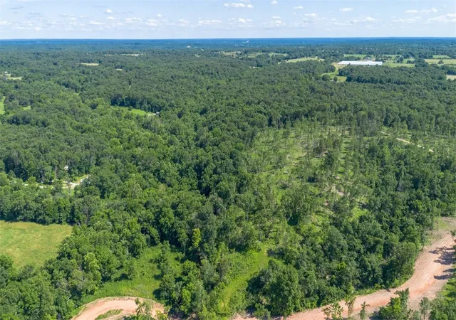 Photo 16 of Land for sale at Lot 14 Adams Rd, Goodman, MO 64843 | MLS# 1353549 | Listing updated on 2026-08-07