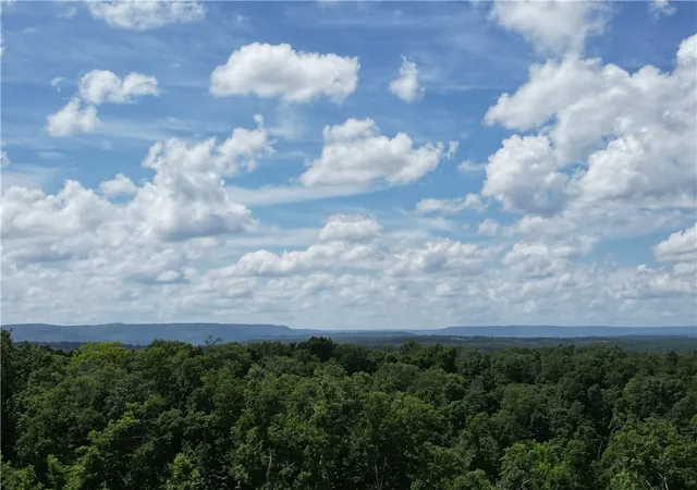 10th image of 0000 Nc 6401, Jasper, AR 72641 | MLS# 1355852