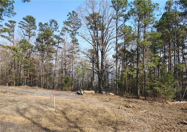 Photo 2 of Land for sale at (Undisclosed), Dover, AR 72837 | MLS# 1357583 | Listing updated on 2026-08-17