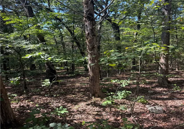 1st image of Tbd Larchwood Dr, Diamond City, AR 72644 | MLS# 1357755