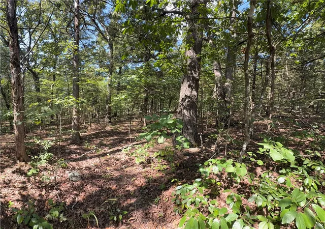 2nd image of Tbd Larchwood Dr, Diamond City, AR 72644 | MLS# 1357755