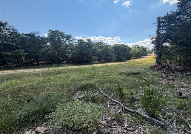 Photo 3 of Land for sale at Tbd (lot 18) Larchwood Dr, Diamond City, AR 72644 | MLS# 1357755 | Listing updated on 2026-08-05
