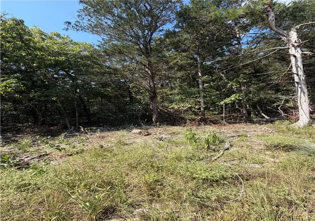 Photo 3 of Land for sale at Tbd (lot 18) Larchwood Dr, Diamond City, AR 72644 | MLS# 1357755 | Listing updated on 2026-08-05