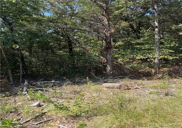 5th image of Tbd Larchwood Dr, Diamond City, AR 72644 | MLS# 1357755