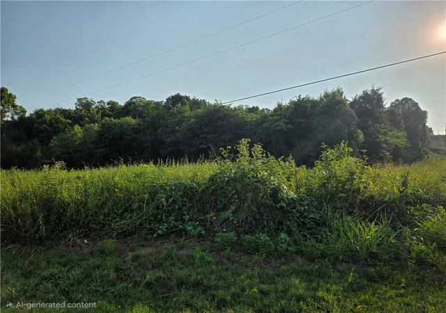 Photo 3 of Land for sale at Tbd N 000 Highway 59, Sulphur Springs, AR 72768 | MLS# 1357816 | Listing updated on 2026-08-17