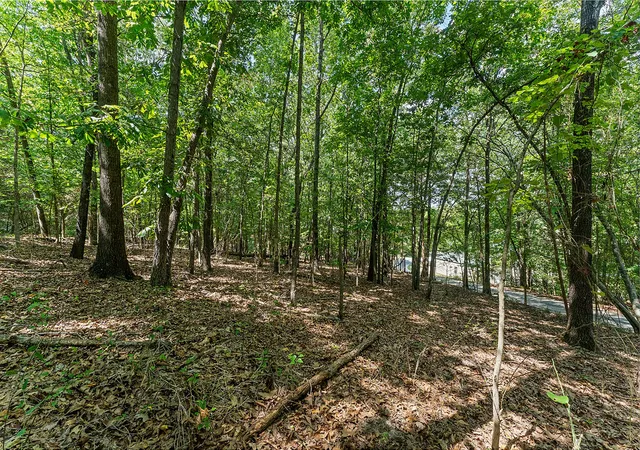 Photo 3 of Land for sale at 64 Acres War Eagle Blacktop Rd, Springdale, AR 72764 | MLS# 1357805 | Listing updated on 2026-08-06