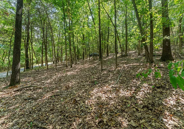 Photo 4 of Land for sale at 64 Acres War Eagle Blacktop Rd, Springdale, AR 72764 | MLS# 1357805 | Listing updated on 2026-08-06