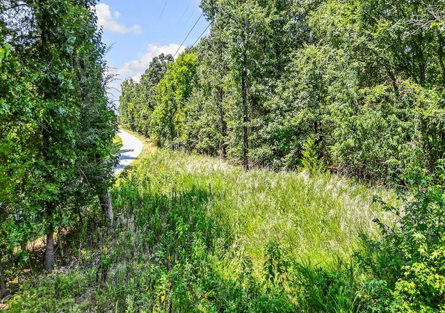 Photo 4 of Land for sale at 315 Acres War Eagle Blacktop Rd, Springdale, AR 72764 | MLS# 1357806 | Listing updated on 2026-08-06
