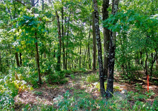 Photo 3 of Land for sale at 000 County Rd 207, Eureka Springs, AR 72632 | MLS# 1357949 | Listing updated on 2026-08-07