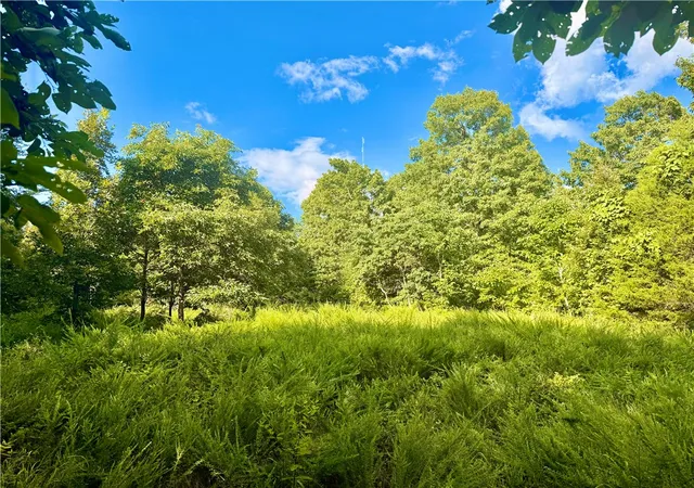 Photo 1 of Land for sale at 348 Crimson Ln, Peel, AR 72668 | MLS# 1357984 | Listing updated on 2026-08-07