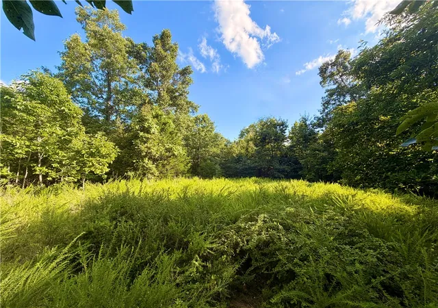 Photo 2 of Land for sale at 348 Crimson Ln, Peel, AR 72668 | MLS# 1357984 | Listing updated on 2026-08-07