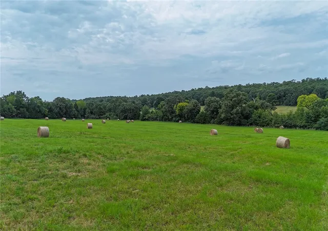 Photo 4 of Land for sale at Tract E 5 Clarks Chapel, Huntington, AR 72940 | MLS# 1358030 | Listing updated on 2026-08-06