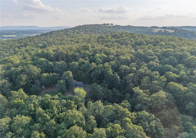 27th image of 1630 E Hwy 374, Saint Joe, AR 72675 | MLS# 1358053