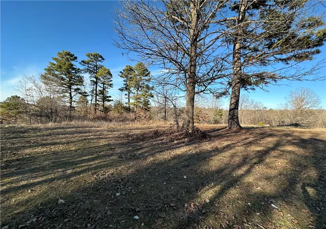 Land for sale at Woodhaven Dr, Hindsville, AR 72738 | MLS# 1358158