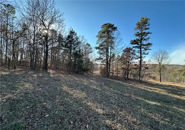 Photo 3 of Land for sale at Woodhaven Dr, Hindsville, AR 72738 | MLS# 1358158 | Listing updated on 2026-08-13