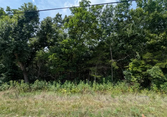 Photo 1 of Land for sale at Tbd Valley Dr, Holiday Island, AR 72631 | MLS# 1358223 | Listing updated on 2026-08-12