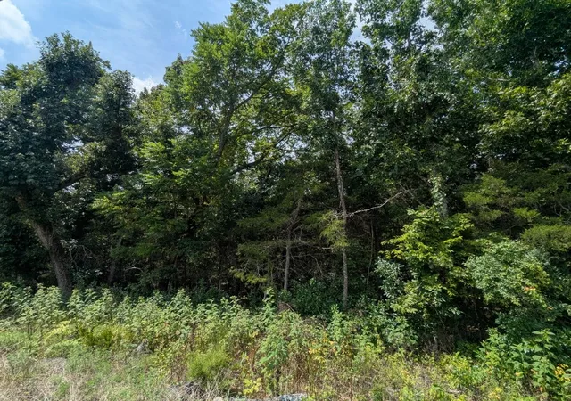 Photo 3 of Land for sale at Tbd Valley Dr, Holiday Island, AR 72631 | MLS# 1358223 | Listing updated on 2026-08-12