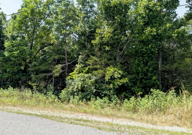 Photo 3 of Land for sale at Tbd Valley Dr, Holiday Island, AR 72631 | MLS# 1358223 | Listing updated on 2026-08-12