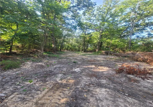 Photo 4 of Land for sale at 105 E Acres Adams St, Lincoln, AR 72744 | MLS# 1358126 | Listing updated on 2026-08-11