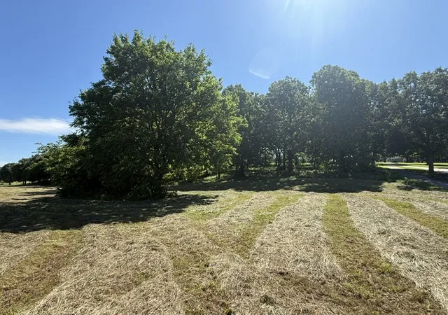Photo 3 of Land for sale at 4019 Savannah Dr, Harrison, AR 72601 | MLS# 1358446 | Listing updated on 2026-08-11