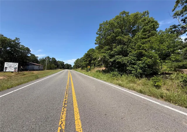 11th image of Lot 1 & 5 Hwy 7, Pelsor, AR 72856 | MLS# 1358382