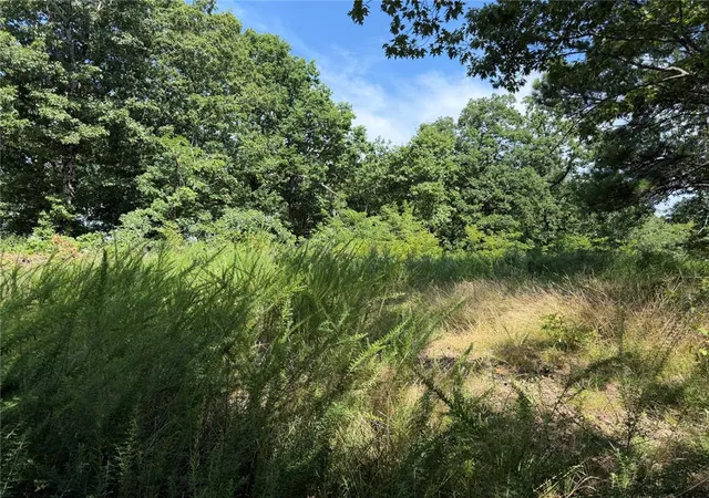 2nd image of Lot 1 & 5 Hwy 7, Pelsor, AR 72856 | MLS# 1358382