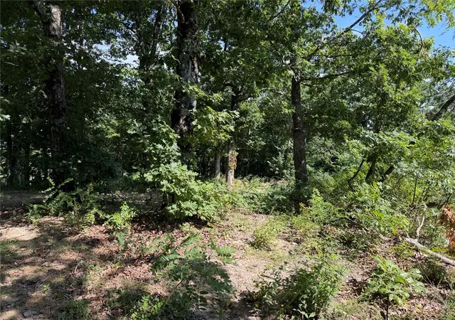 4th image of Lot 1 & 5 Hwy 7, Pelsor, AR 72856 | MLS# 1358382