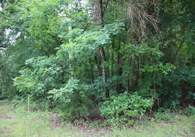1st image of 001 09520 000 Hwy 178, Lakeview, AR 72642 | MLS# 1358586