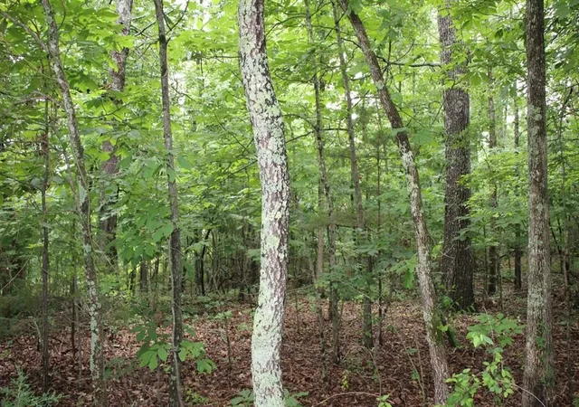 2nd image of 001 09520 000 Hwy 178, Lakeview, AR 72642 | MLS# 1358586