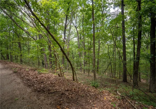 Photo 1 of Land for sale at Bedlington Ln, Bella Vista, AR 72714 | MLS# 1358649 | Listing updated on 2026-08-12