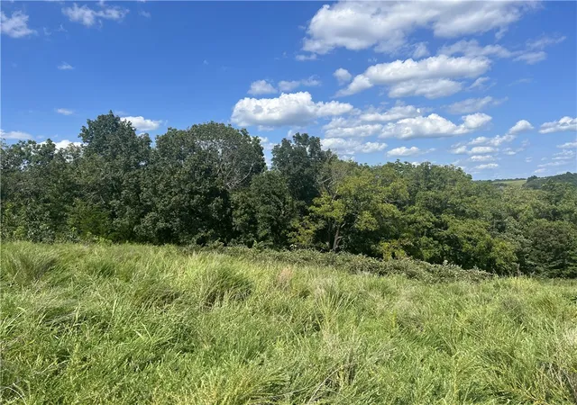 Photo 2 of Land for sale at Hope Crk Ln, Harrison, AR 72601 | MLS# 1358700 | Listing updated on 2026-08-12