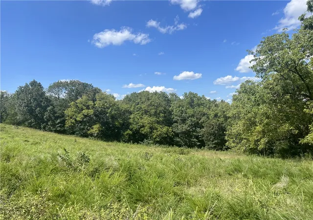 Photo 3 of Land for sale at Hope Crk Ln, Harrison, AR 72601 | MLS# 1358700 | Listing updated on 2026-08-12