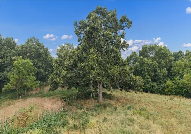 Photo 4 of Sale Pending at 9671 Farm 2230 Rd, Cassville, MO 65625 | MLS# 1358570 | Listing updated on 2026-09-20