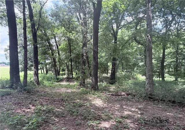 Photo 3 of Land for sale at N Hwy Ar 43, Maysville, AR 72747 | MLS# 1358601 | Listing updated on 2026-08-17