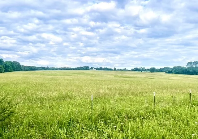 2nd image of Berrywood Ln, Gassville, AR 72635 | MLS# 1358812
