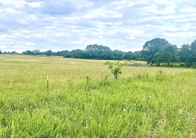 4th image of Berrywood Ln, Gassville, AR 72635 | MLS# 1358812