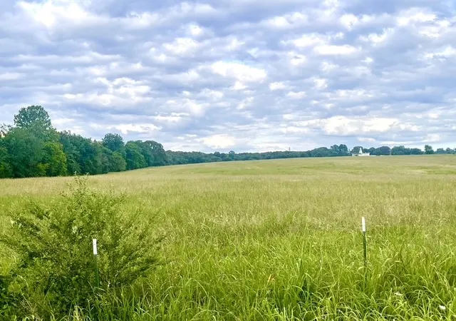 5th image of Berrywood Ln, Gassville, AR 72635 | MLS# 1358812