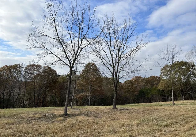 Land for sale at 2758 N Ctr Loop, Harrison, AR 72601 | MLS# 1358839