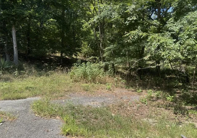 Photo 1 of Land for sale at 10 Pine Ln, Holiday Island, AR 72631 | MLS# 1358708 | Listing updated on 2026-08-14