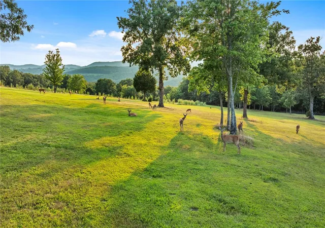 Photo 3 of Single family home for sale at 14390 Highway 23, Witter, AR 72776 | MLS# 1358457 | Listing updated on 2026-08-25